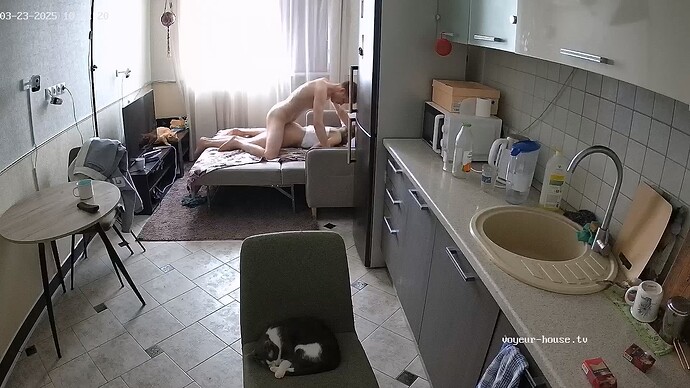 Kitchen camera at Bastet reallifecam apartment at Voyeur House TV (cam13)_4.ts_20250323_093303.604