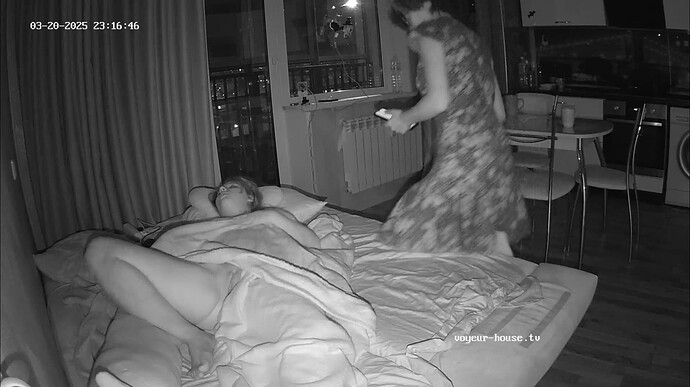 Ashampoo_Snap_jeudi 20 mars 2025_21h17m22s_001_Living room camera at Tea reallifecam apartment at Voyeur House TV (cam14) - Google Chrome