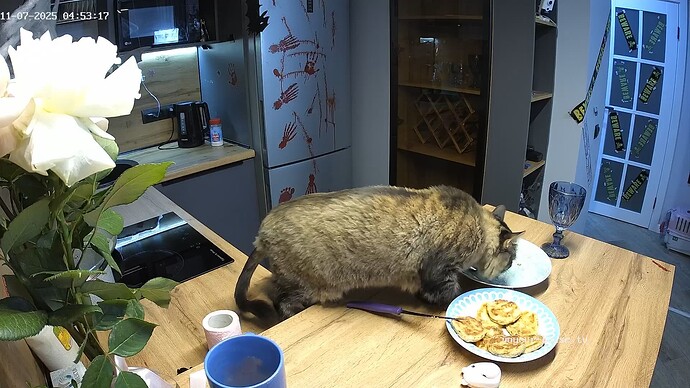 realm94-cam12-1762493344