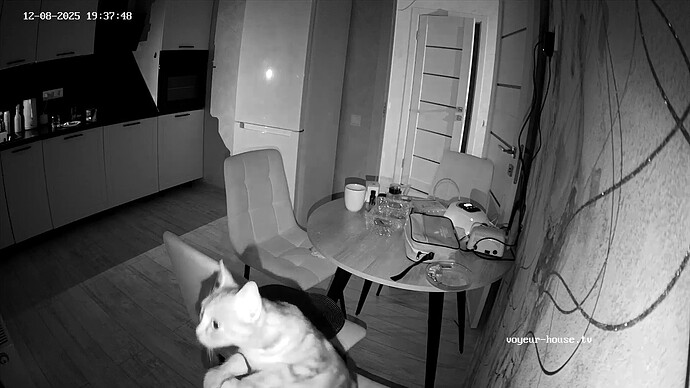 realm13-cam11-1765213285