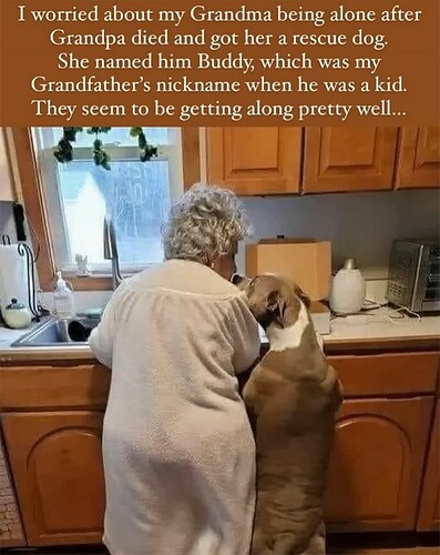 Buddy Dog