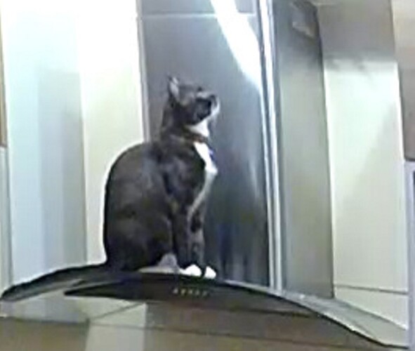 Is that safe focused