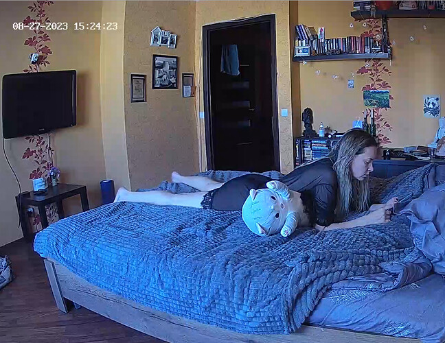 Screenshot 2023-08-27 at 08-43-59 Bedroom camera at Bert & Rissa reallifecam apartment at Voyeur House TV (cam16)