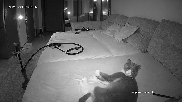 realm6-cam15-1726951238