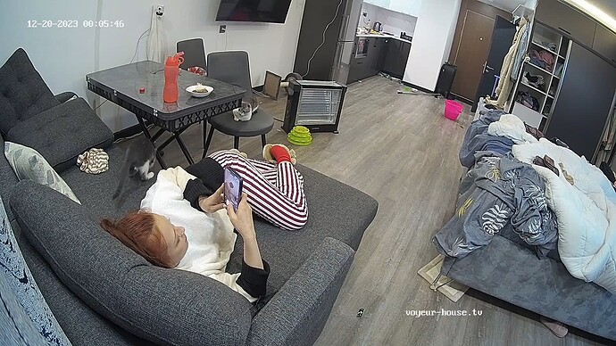 realm43-cam15-1703016380