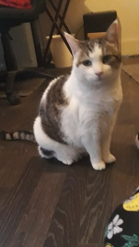 128db097-4c43-4c97-9185-f695a4817efb