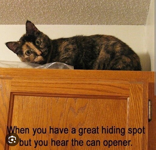 main-qimg-369a331dbb238ad01893e71465610674