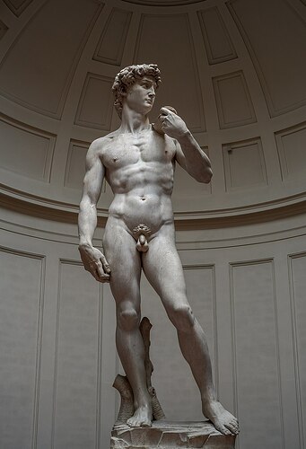 Michelangelo's_David_-_right_view_2