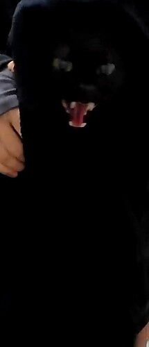 Screenshot 2025-12-10 173230