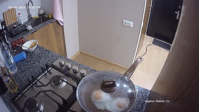 realm87-cam11-1709306607