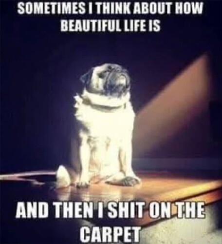 Beutiful Life