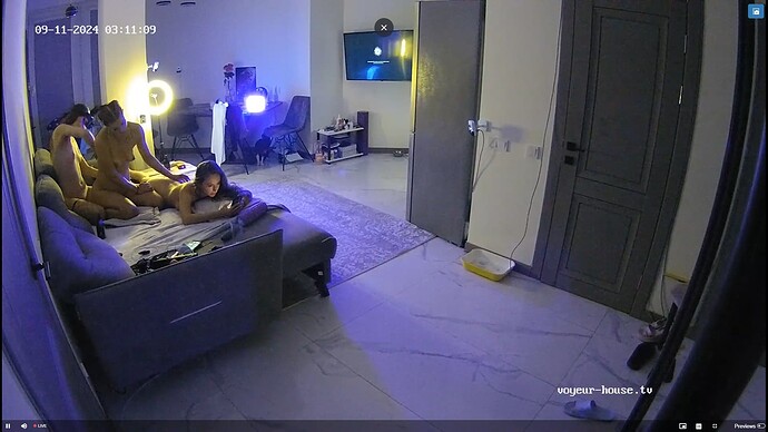 Ashampoo_Snap_mercredi 11 septembre 2024_2h11m48s_001_Living room camera at Andreza reallifecam apartment at Voyeur House TV (cam16) - Google Chrome