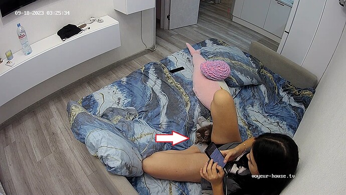 the best seat in the house