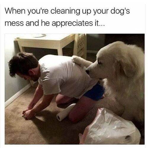 FB_IMG_1680187719334