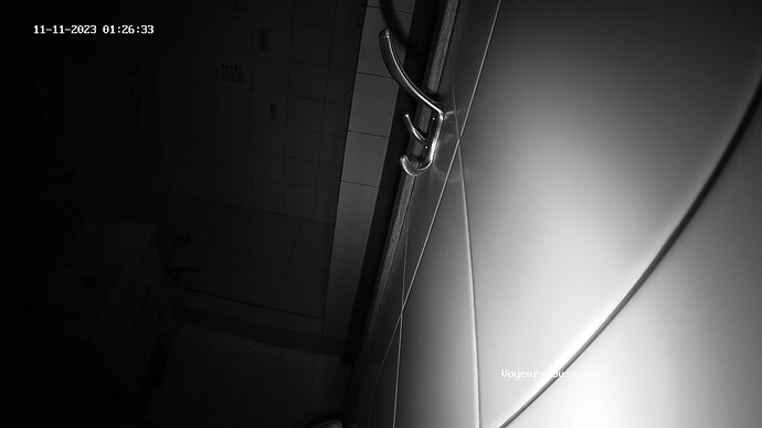 realm47-cam110-1699656157