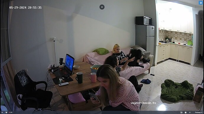 Ashampoo_Snap_mercredi 29 mai 2024_18h56m24s_008_Living room camera at Inira & Unuk reallifecam apartment at Voyeur House TV (cam13) - Google Chrome