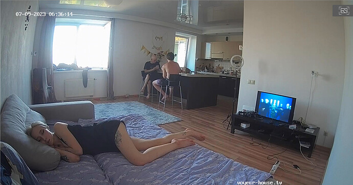 Screenshot 2023-07-08 at 21-05-08 Living room camera at Barbara reallifecam apartment at Voyeur House TV (cam14)