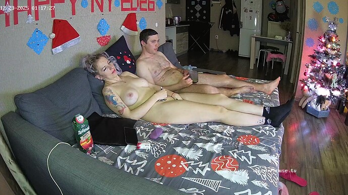 realm66-cam14-1766441886