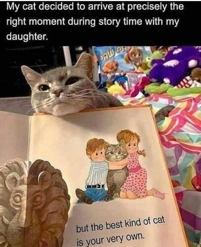 main-qimg-270332a36849dcf4028c38c092c3dfc0