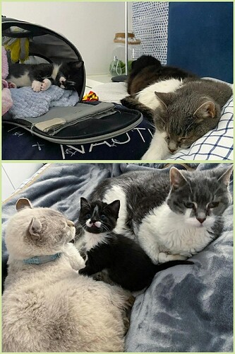 main-qimg-ed03cb6bfdefb12fa84f82c5fc73ecbb