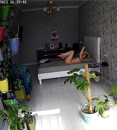 Screenshot 2023-06-05 at 09-20-21 Guest bedroom camera at Sophia Elon Claudia reallifecam apartment at Voyeur House TV (cam110)