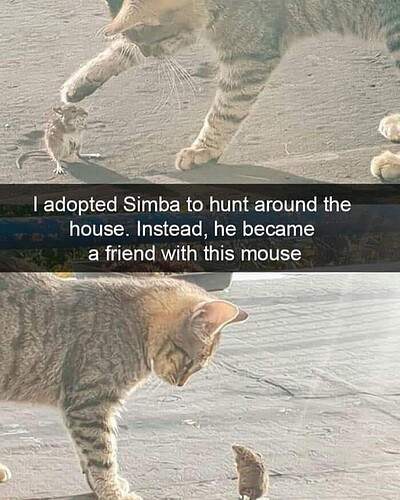 main-qimg-3fcb975b75dd62810527501049f5de5b