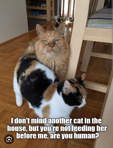 main-qimg-b2eb72146a6be6e1a0526ea1e115162e