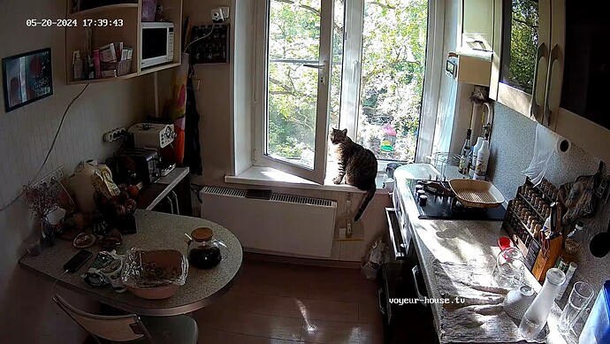 realm7-cam11-1716216022