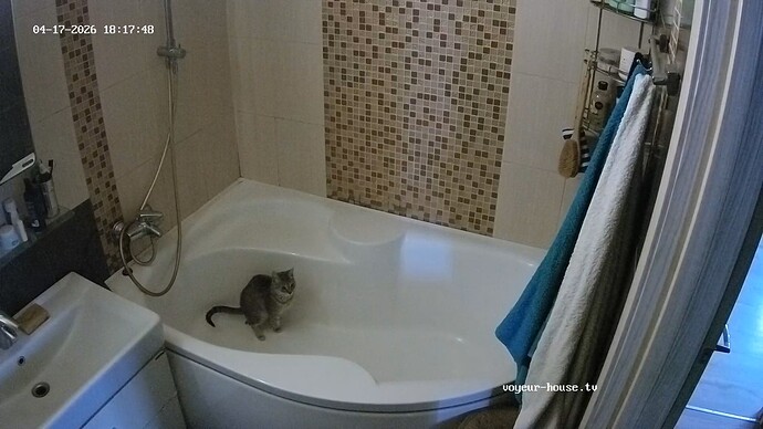 realm62-cam110-1776463161