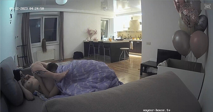 Screenshot 2023-05-11 at 18-25-18 Living room camera at Mira & Henry reallifecam apartment at Voyeur House TV (cam17)