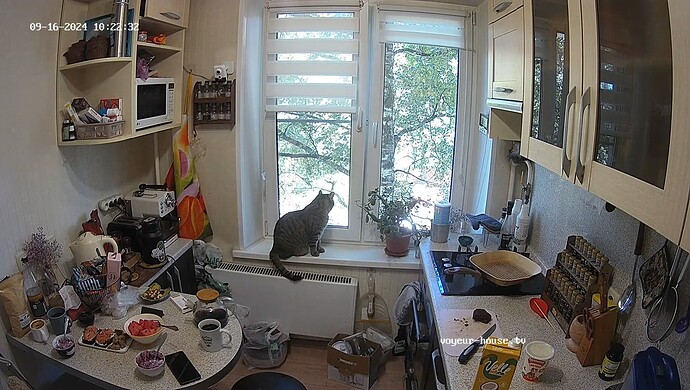 realm7-cam11-1726506614