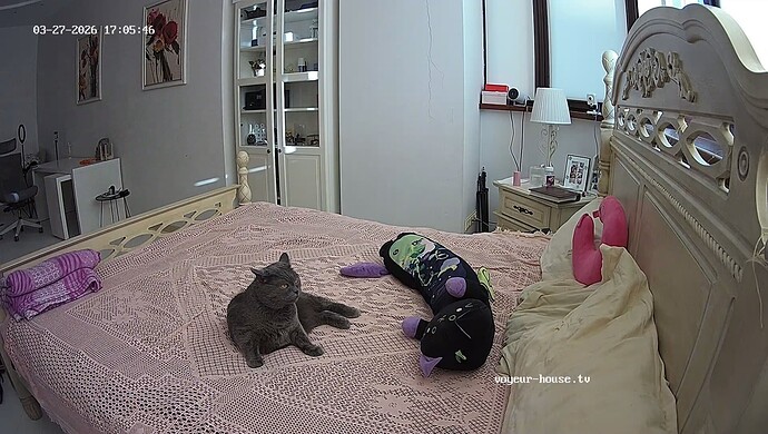 realm8-cam18-1774623998