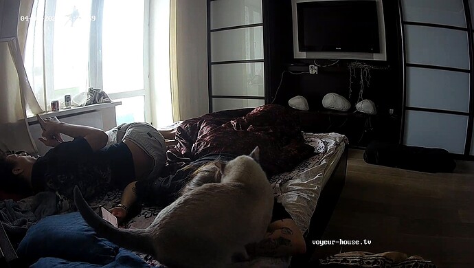 realm55-cam111-1743589505