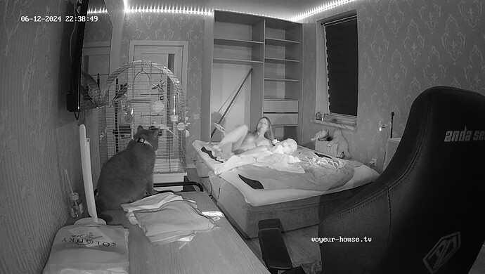 realm8-cam19-1718231329