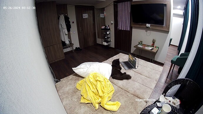 realm89-cam15-1716678784