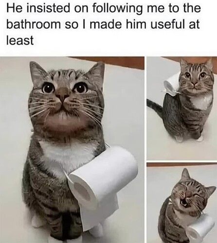 Useful Cat