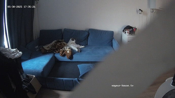realm69-cam13-1748624682