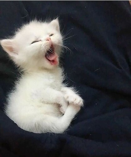 main-qimg-92f641774643d28f725fbda7379cf55d