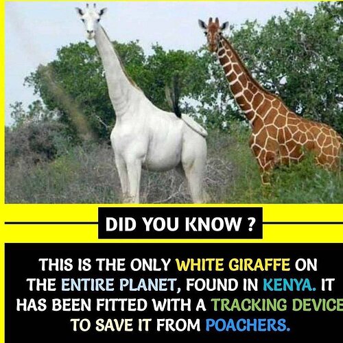 434481945_332065399883062_5876530105622026815_n