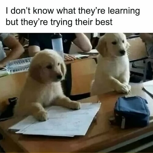 Dogs Learning