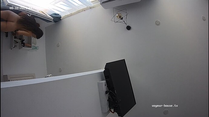 Noldus 2024-08-18 13-49-32-043