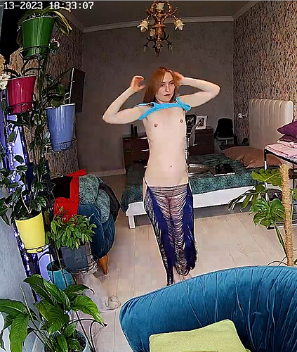 Screenshot 2023-06-13 at 14-10-13 Guest bedroom camera at Sophia Elon Claudia reallifecam apartment at Voyeur House TV (cam110)