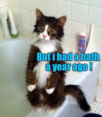 main-qimg-4b66ab696c75449b50395a9a70e2b86a