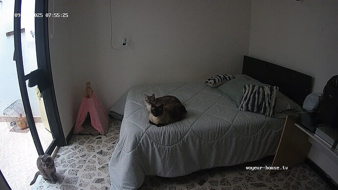 realm103-cam17-1759100414