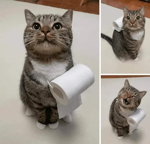 If they follow you to the bathroom make them useful!