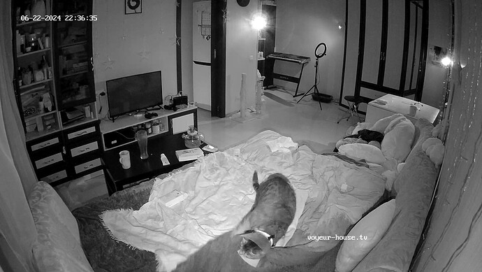 realm7-cam15-1719085305