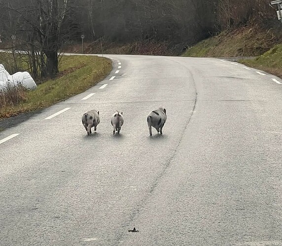 0b752198-7cdc-417a-9df8-42ef0ec32446