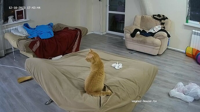 realm67-cam14-1702219457