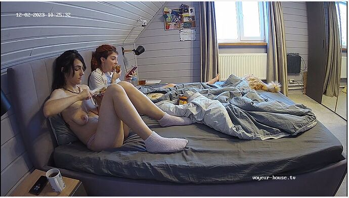 Screenshot_2023_12_02-60