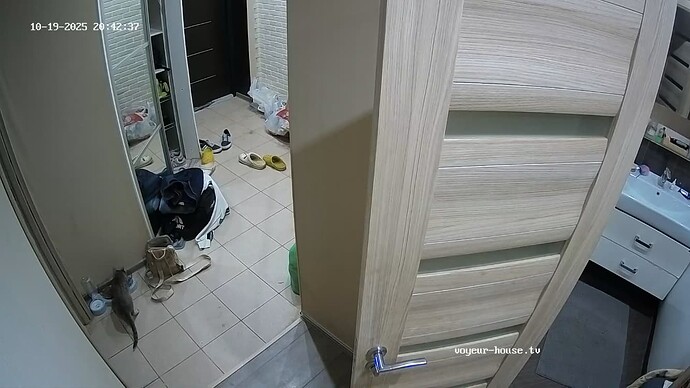 Screenshot 2025-10-19 at 19-50-32 Hall camera at Evelyn Lippo reallifecam apartment at Voyeur House TV (cam111)